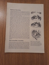 World of wildlife, Vol. 3, Pt. 33