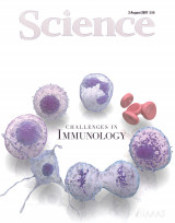 Science, Volume 317, No.5838, 3 August 2007