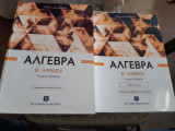 Αλγεβρα Β' Λυκείου ,γενικης παιδειας + Βιβλίο Λύσεων [ Γ. Μιχαηλίδης]
