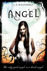 Angel Book 1