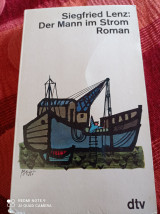 Der Mann im Strom (roman)