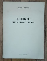 Le origini della lingua basca