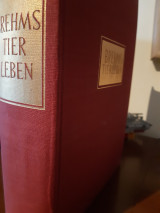 Tierleben