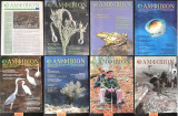 Αμφίβιον 9 τεύχη: #13, #17, #18, #32, #36, #38, #40, #41, #44