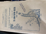 Το αιματηρον Πάσχα του 1919