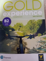 Gold experience companion B2