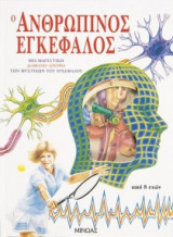 Ο ανθρώπινος εγκέφαλος