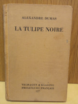 La tylipe noire