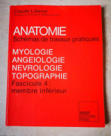 Anatomie Fascicule 4 : Membre Inférieur Myologie Angeiologie