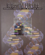 Blueprint for Life (Journey Through the Mind and Body)