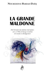 LA GRANDE MALDONNE: Petit bréviaire des relations tourmentées entre le FMI, la Banque mondiale et le monde en développement