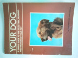Your dog,a simple guide to the selection, training and welfare of your pet