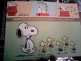 Peanuts - Καθε Κυριακή του Τσαρλς Μ. Σουλτς 1968-1970