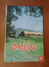 Φλογέρα Α