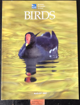 Birds Volume 21 No 7 August. Impressions in spring. Safegaurd our sea life. British Birdwatch Fair