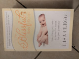 The Blissful Baby Expert