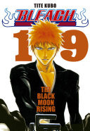 Bleach vol. 19
