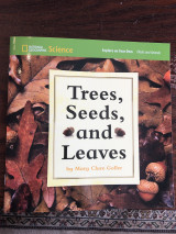Trees seeds and leaves