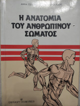 Η Ανατομία Του Ανθρώπινου Σώματος