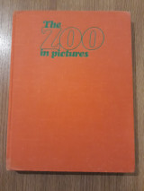 The Zoo in Pictures