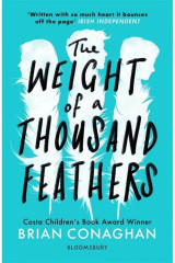 The weight of a thousand feathers