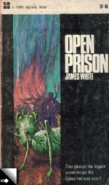 Open Prison