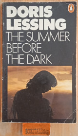 The Summer Before the Dark
