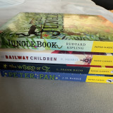 Puffin Classics 4 book set