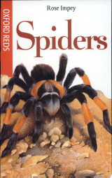 Spiders