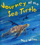 Journey of the Sea Turtle