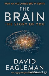 The Brain
