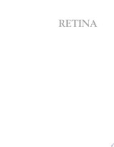 Retina