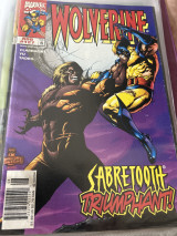 Wolverine no 127