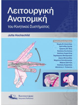 Λειτουργική Ανατομική του Κινητικού Συστήματος