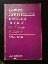 Lower certificate English course for foreign students