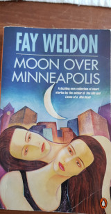 Moon over Minneapolis