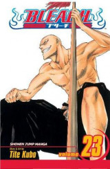Bleach, Vol. 23 v. 23