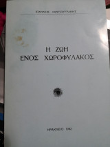 Η ζωή ενός χωροφυλακος