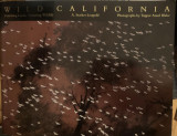 Wild California