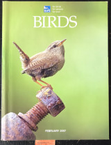 Birds Volume 21 No 5. Febuary. Marshide. The Lodge. Saving Poland's wetlands.Bog garden birdwatch