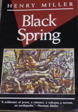 Black Spring