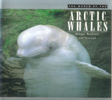 The World of the Arctic Whales