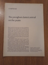 World of wildlife, Vol. 4, Pt. 54