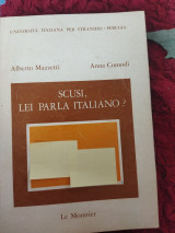 Scusi lei parla italino?