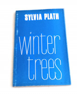 Winter trees.