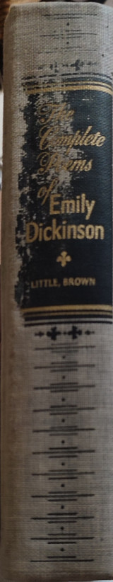 The complete poems of emily dickinson