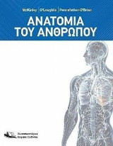 Ανατομία του Ανθρώπου