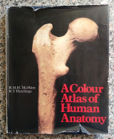 A Colour Atlas of Human Anatomy