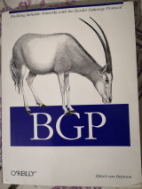 BGP: Building Reliable Networks with the Border Gateway Protocol