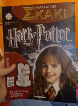 Μαθαίνω Σκάκι Harry Potter 22